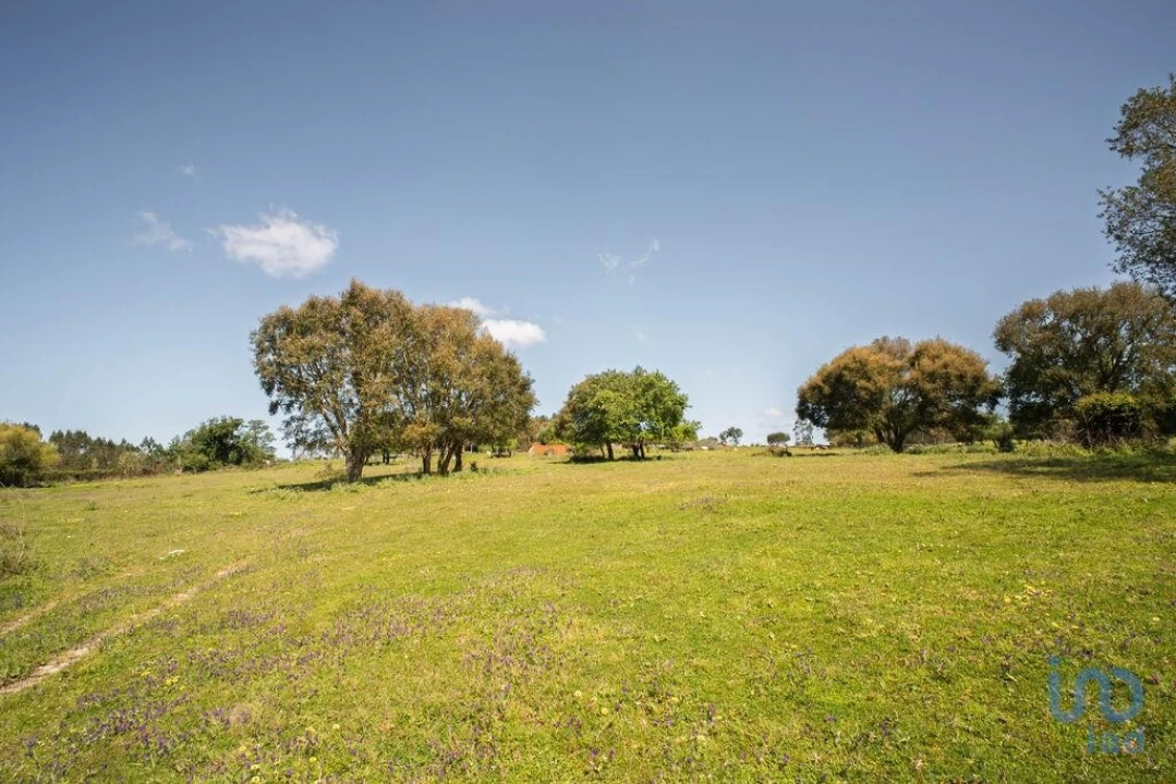 Terreno para Venda em Souto da Carpalhosa e Ortigosa Foto 11