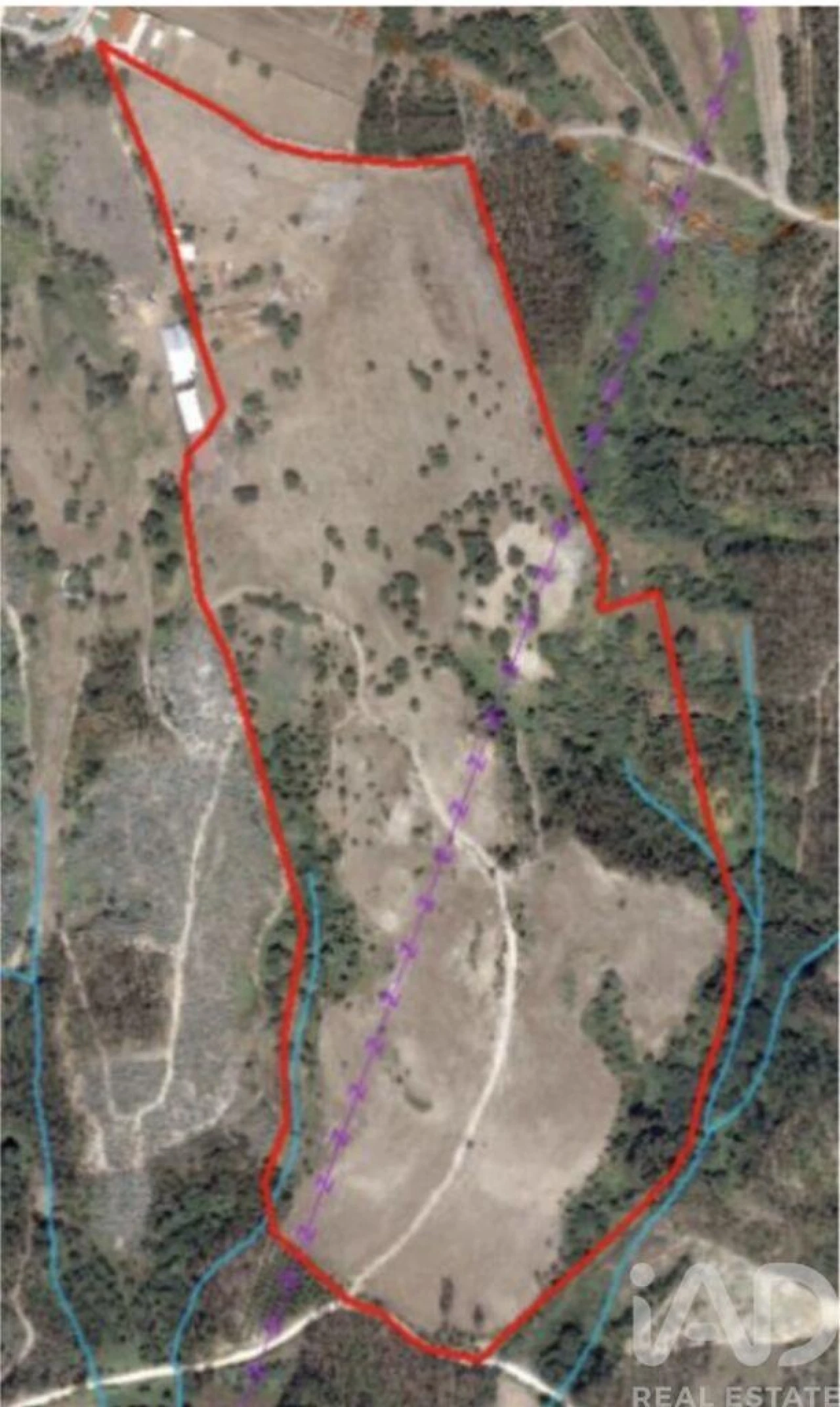 Terreno para Venda em Souto da Carpalhosa e Ortigosa Foto 15