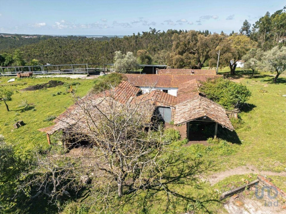 Terreno para Venda em Souto da Carpalhosa e Ortigosa Foto 7
