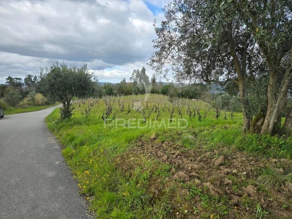 Terreno para Venda em Almalagues Foto 1