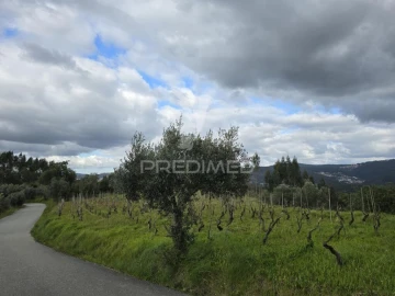 Terreno para Venda em Almalagues