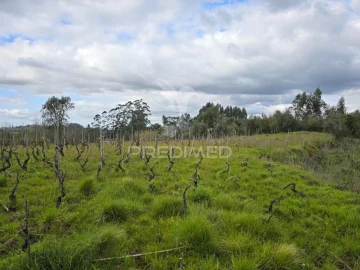 Terreno para Venda em Almalagues