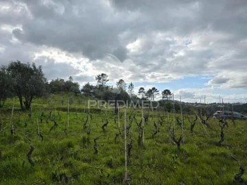 Terreno para Venda em Almalagues