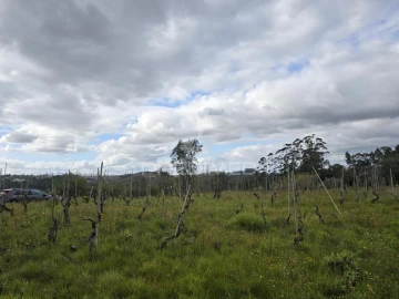 Terreno para Venda em Almalagues