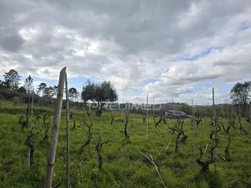 Terreno para Venda em Almalagues