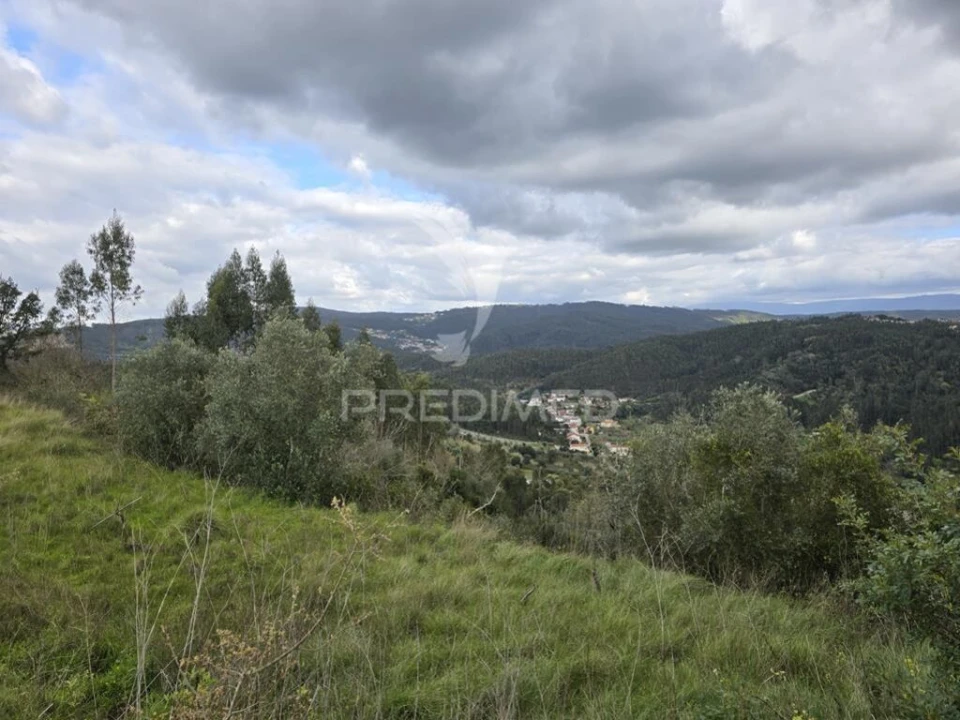 Terreno para Venda em Almalagues Foto 8