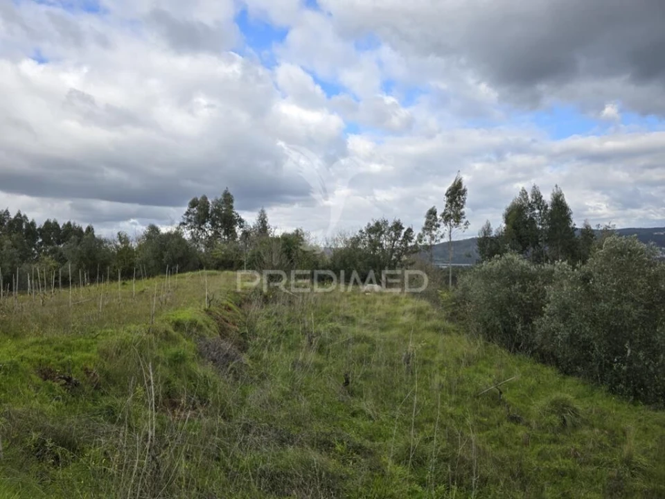 Terreno para Venda em Almalagues Foto 10
