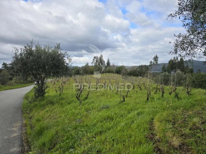 Terreno para Venda em Almalagues Foto 13