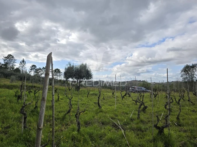 Terreno para Venda em Almalagues Foto 4