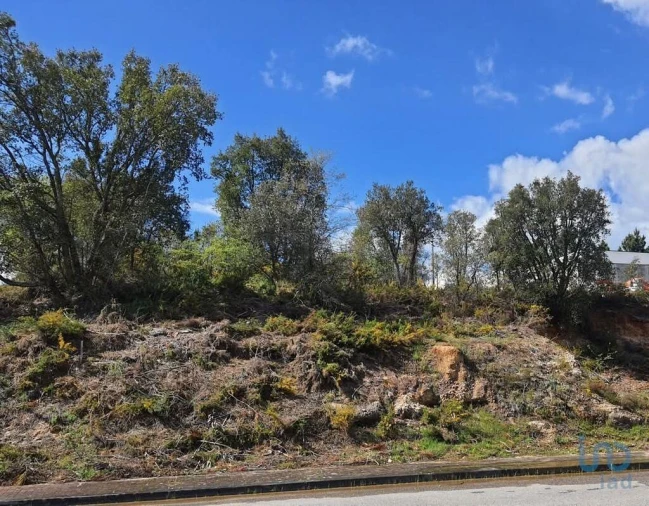Terreno para Venda em Nossa Senhora da Piedade Foto 7