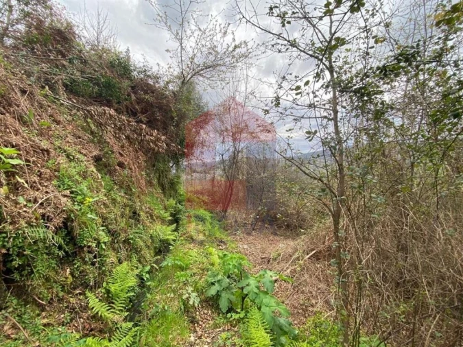 Terreno para Venda em Sande, Vilarinho, Barros e Gomide Foto 12