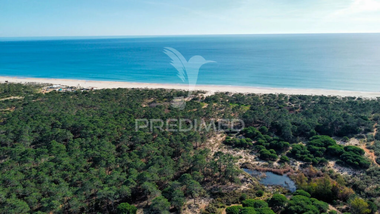 Terreno para Venda em Altura Foto 1