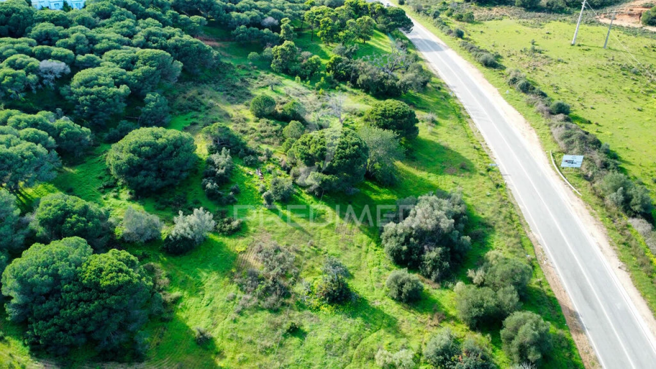 Terreno para Venda em Altura Foto 16