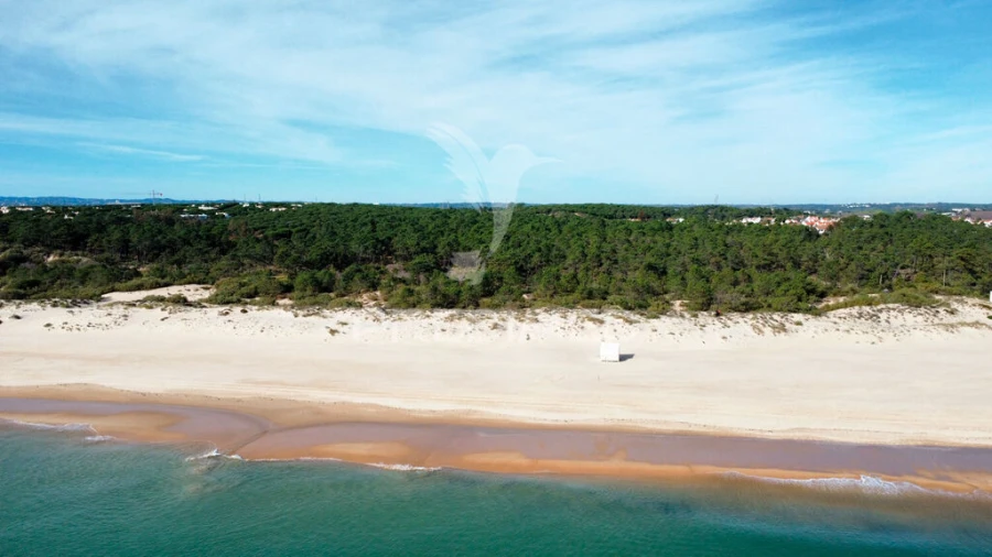 Terreno para Venda em Altura Foto 5