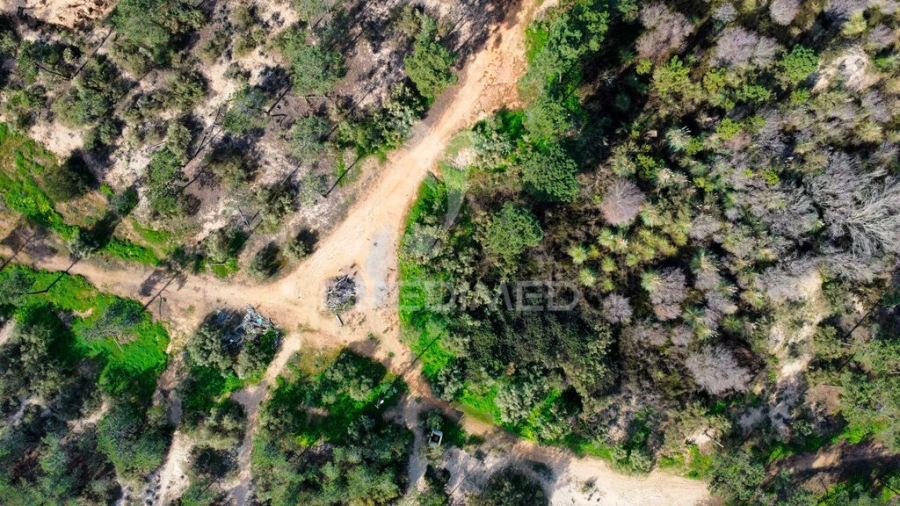 Terreno para Venda em Altura Foto 7