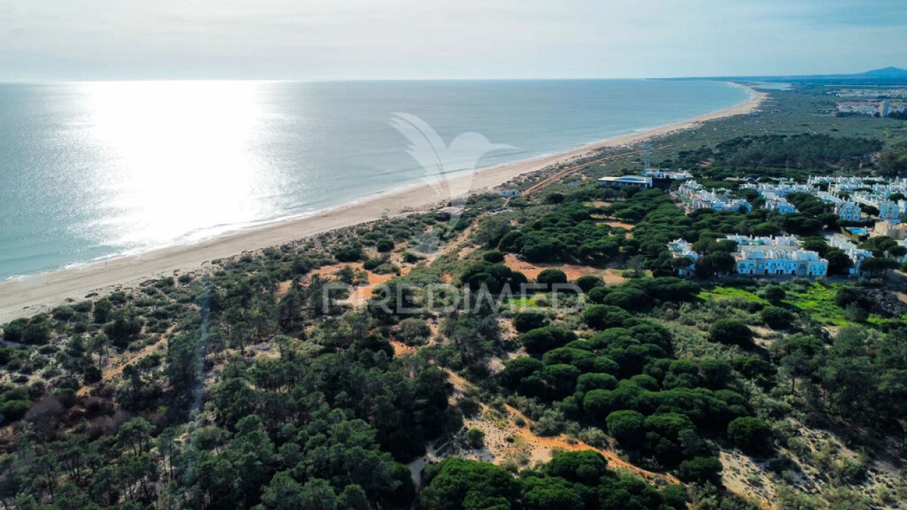 Terreno para Venda em Altura Foto 11