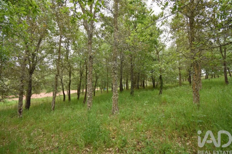 Moradia T5 para Venda em Ansião Foto 26