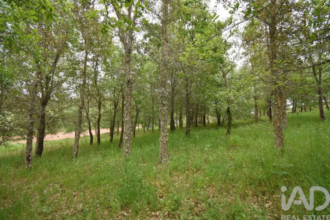 Moradia T5 para Venda em Ansião Foto 26