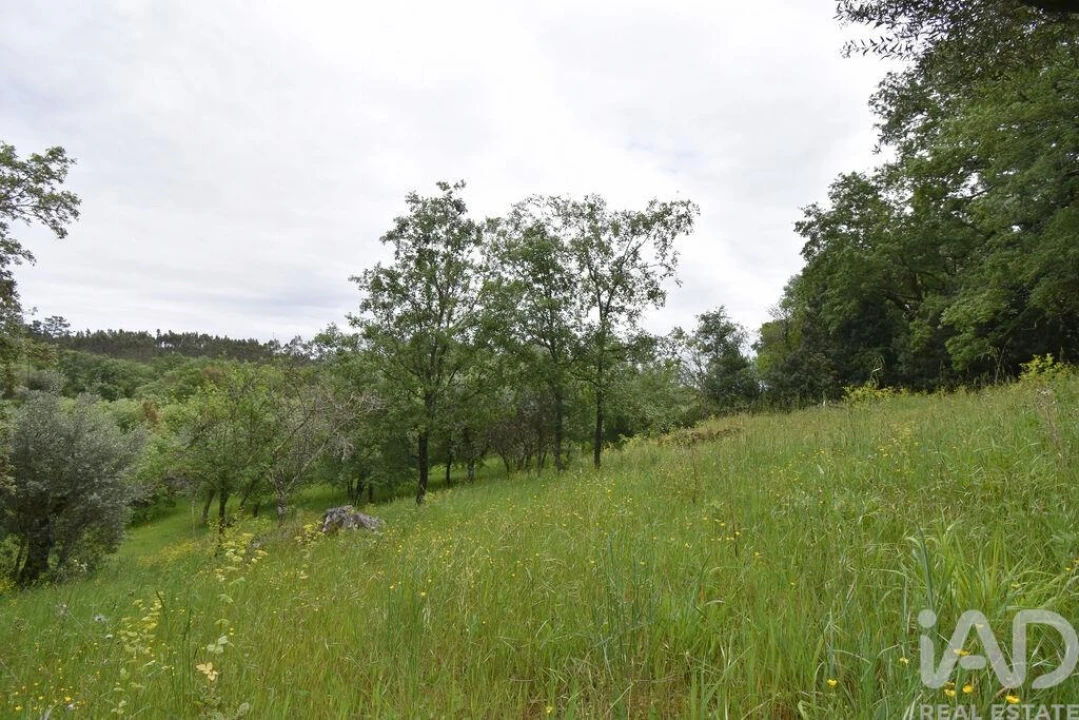 Moradia T5 para Venda em Ansião Foto 24