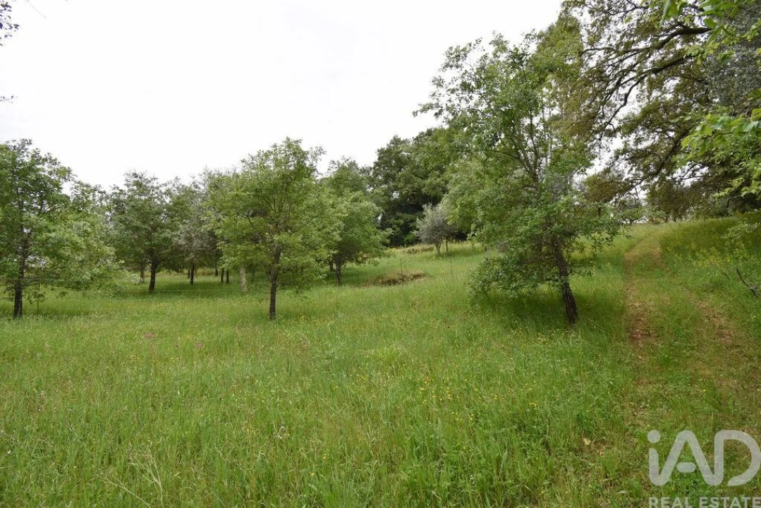 Moradia T5 para Venda em Ansião Foto 25