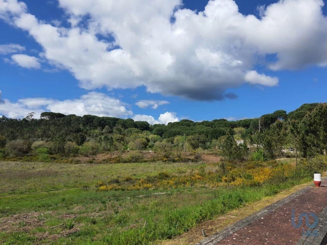 Terreno para Venda em Nossa Senhora da Piedade Foto 5
