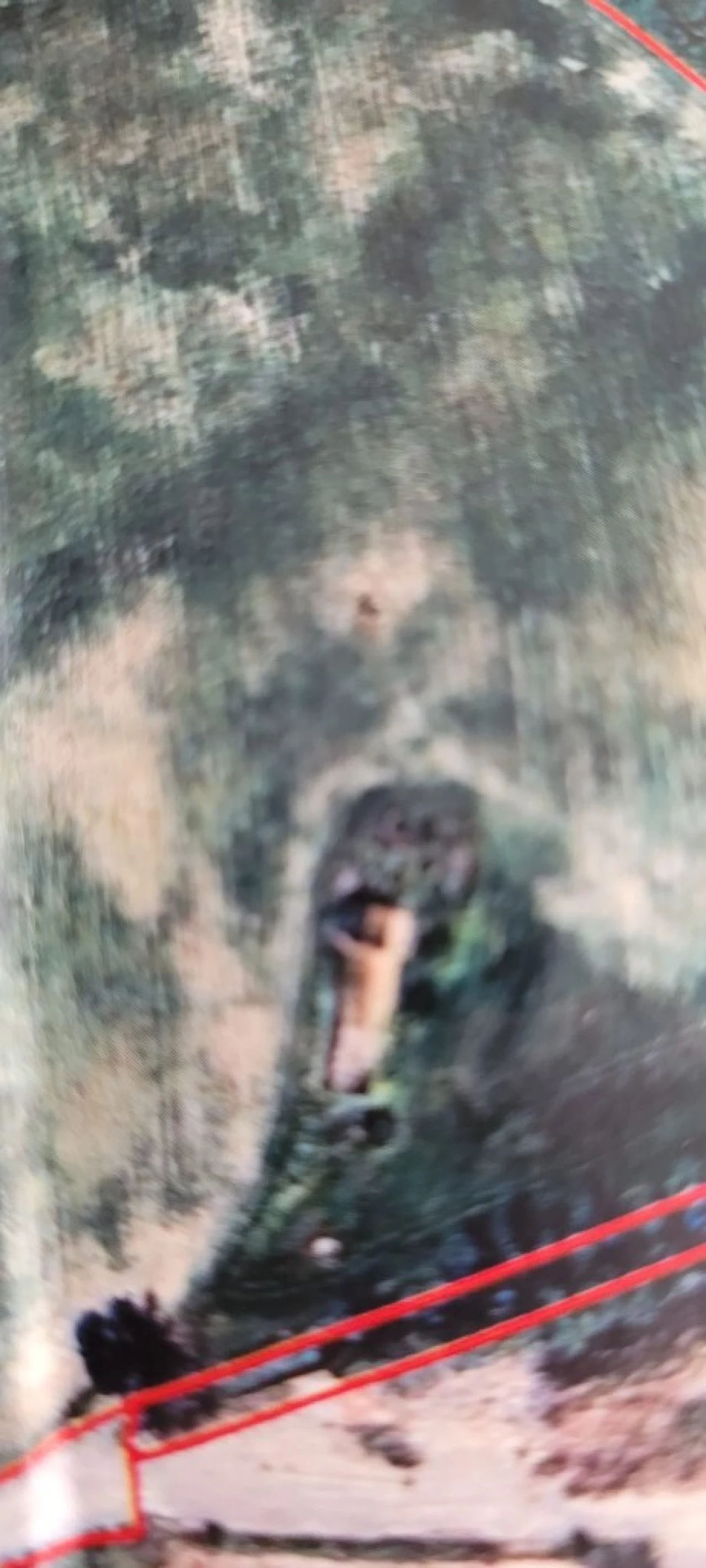 Terreno para Venda em Romeira e Várzea Foto 1