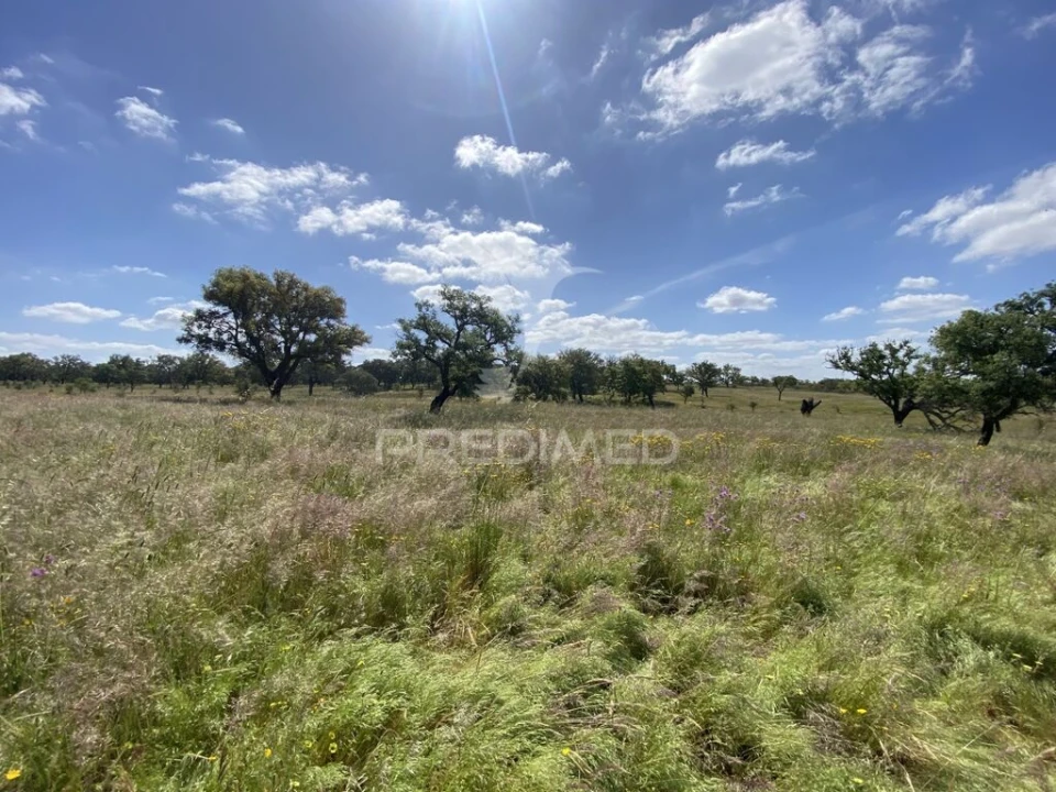 Quinta T1 para Venda em Abela Foto 12