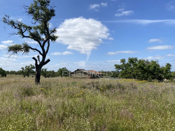 Quinta T1 para Venda em Abela Foto 4