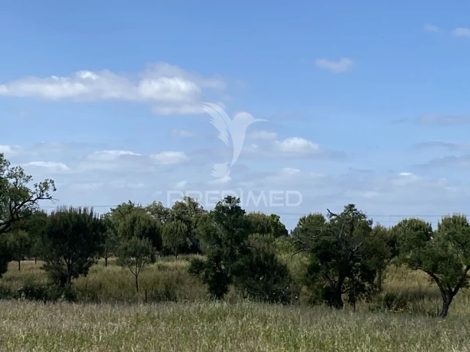 Quinta T1 para Venda em Abela Foto 16