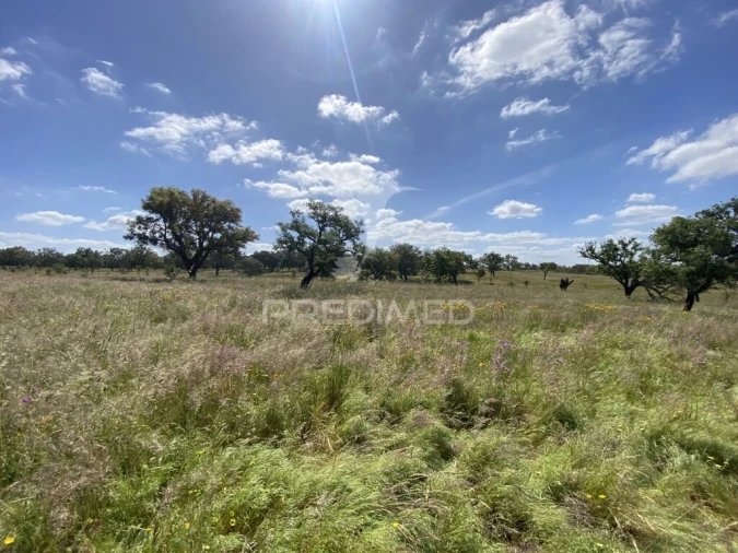 Quinta T1 para Venda em Abela Foto 8