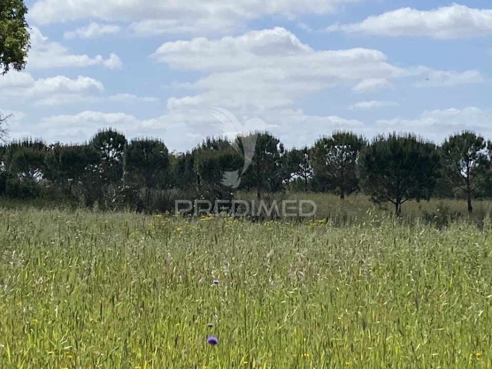 Quinta T1 para Venda em Abela Foto 17