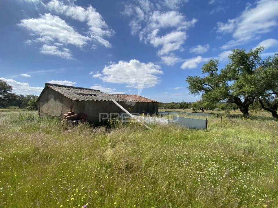 Quinta T1 para Venda em Abela Foto 1