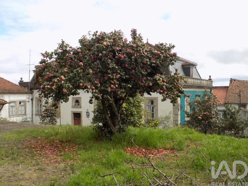 Moradia T19 para Venda em Tortosendo Foto 24