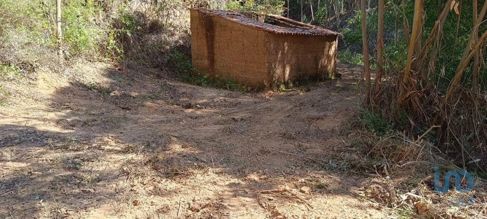 Terreno para Venda em Monchique Foto 3