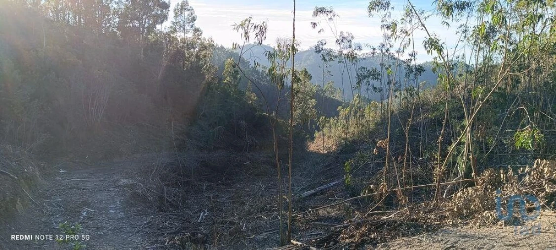 Terreno para Venda em Monchique Foto 7