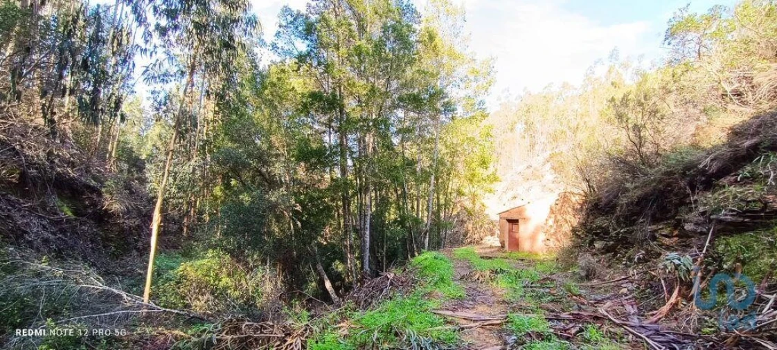 Terreno para Venda em Monchique Foto 4