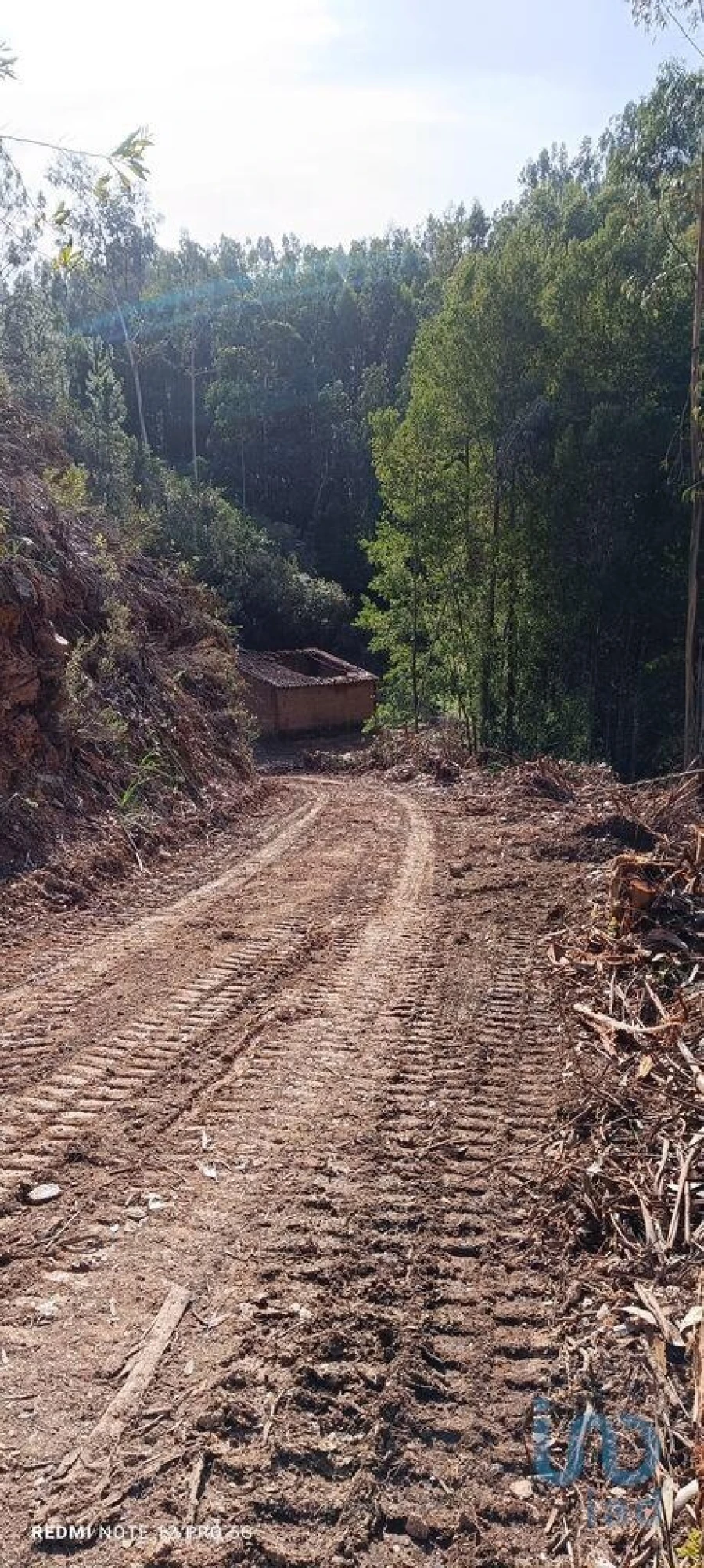 Terreno para Venda em Monchique Foto 8