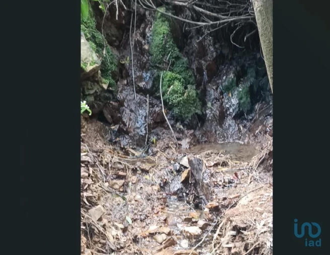 Terreno para Venda em Monchique Foto 5