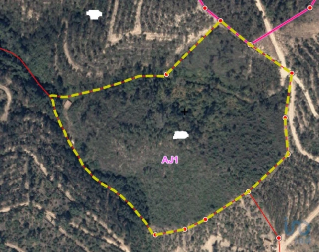 Terreno para Venda em Monchique Foto 9