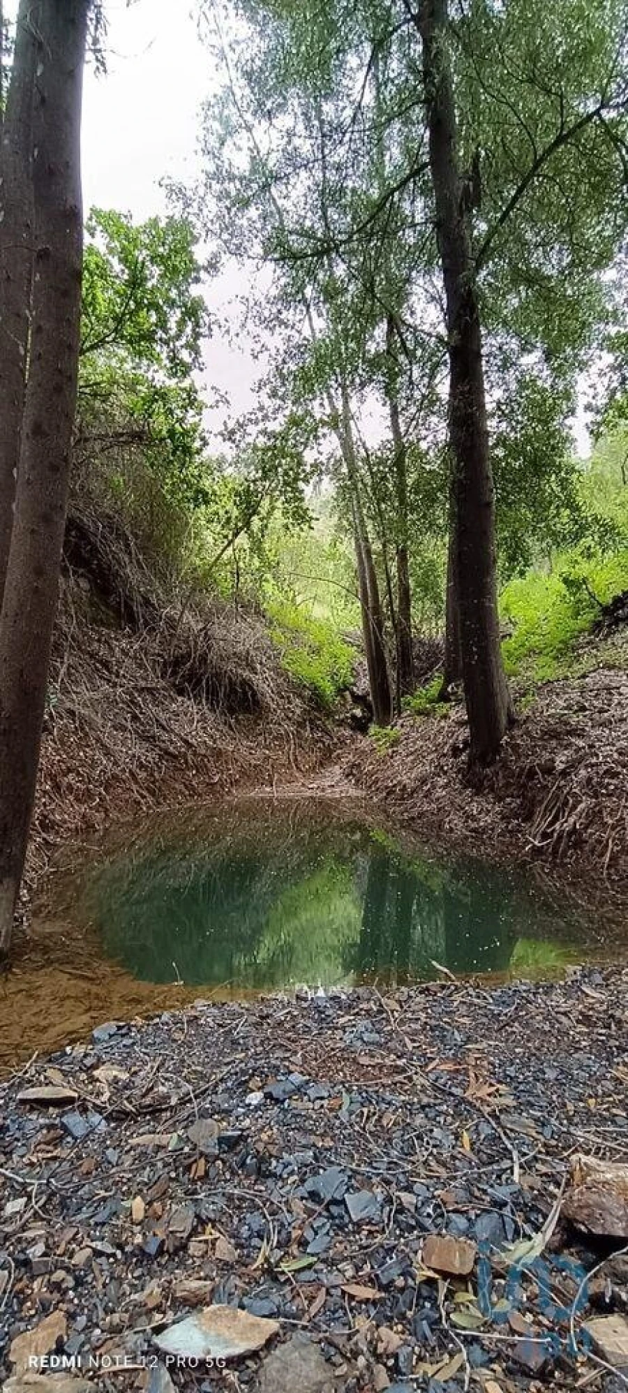 Terreno para Venda em Monchique Foto 1
