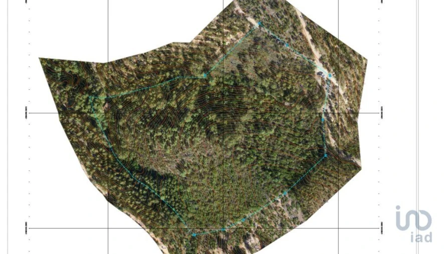 Terreno para Venda em Monchique Foto 10