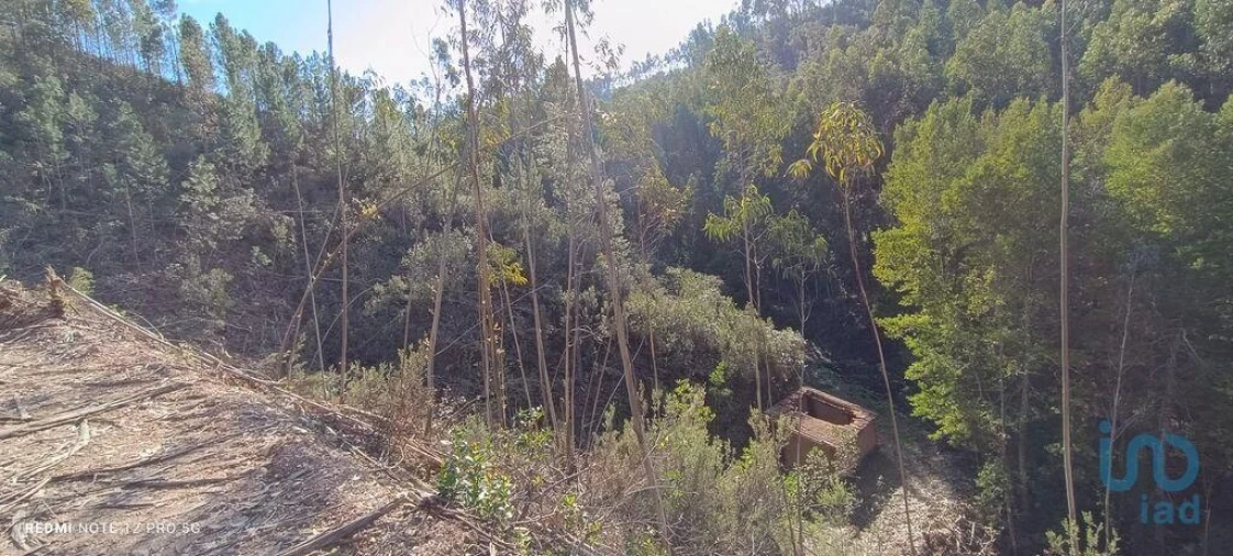 Terreno para Venda em Monchique Foto 6