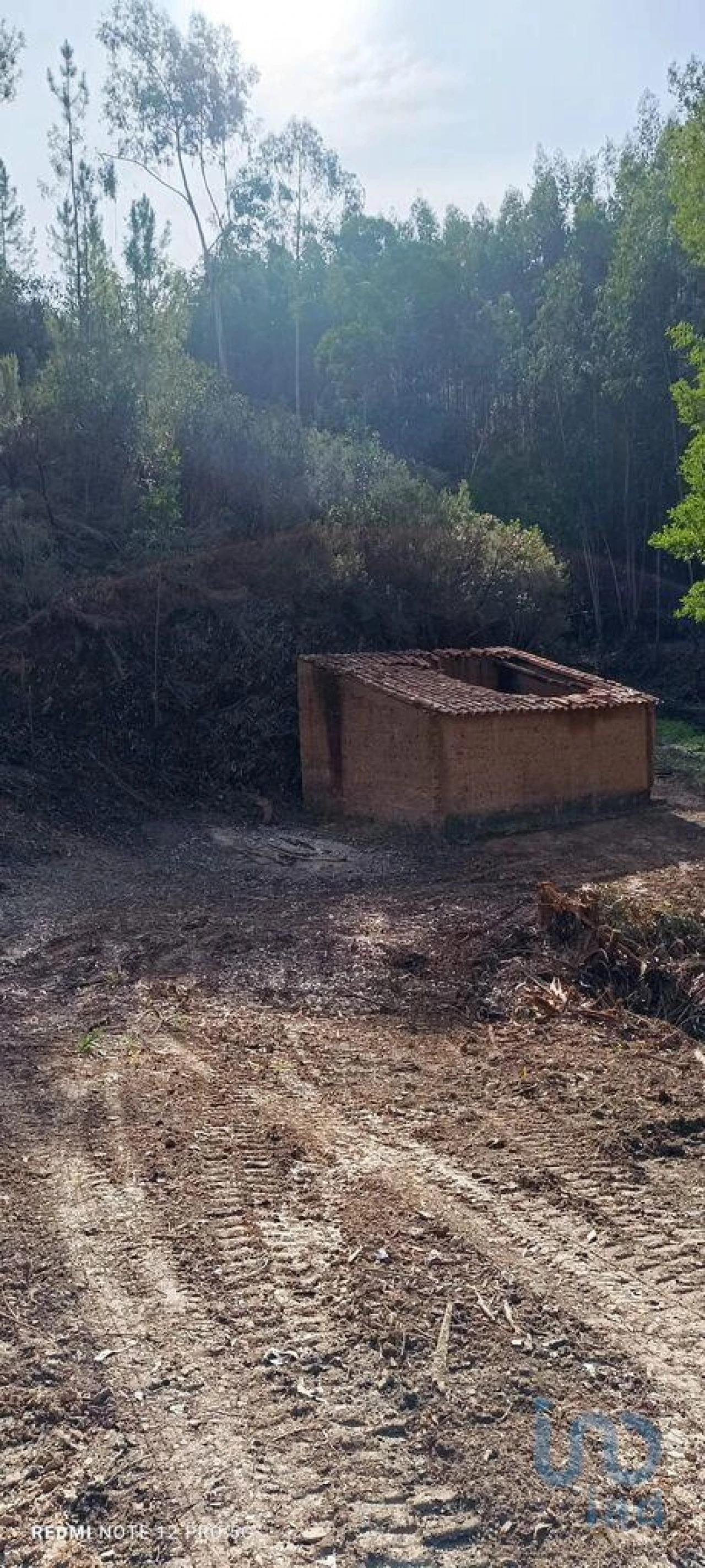 Terreno para Venda em Monchique Foto 2