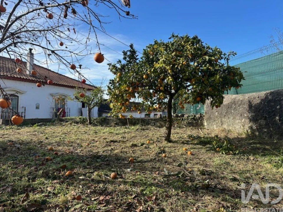 Moradia T3 para Venda em Abiul Foto 24