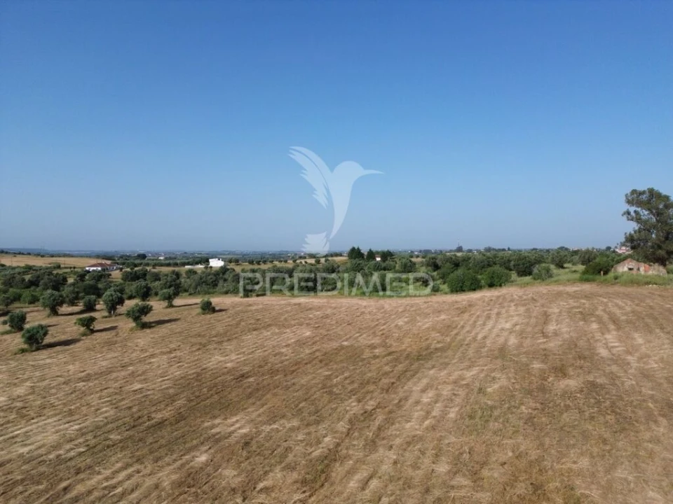 Terreno para Venda em Brogueira, Parceiros de Igreja e Alcorochel Foto 7