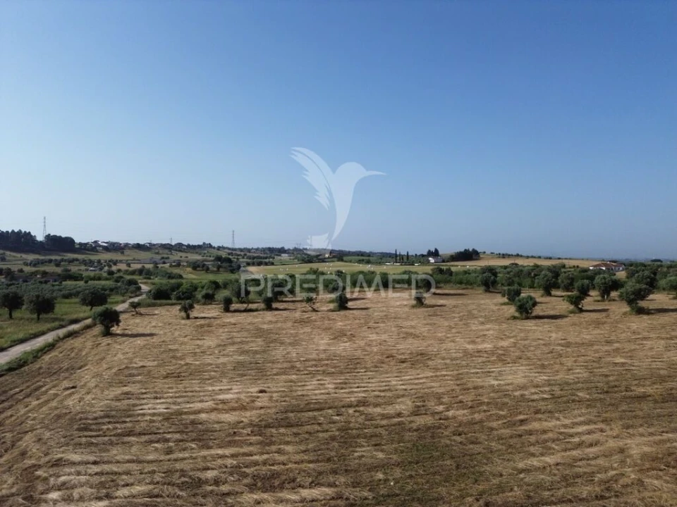 Terreno para Venda em Brogueira, Parceiros de Igreja e Alcorochel Foto 4