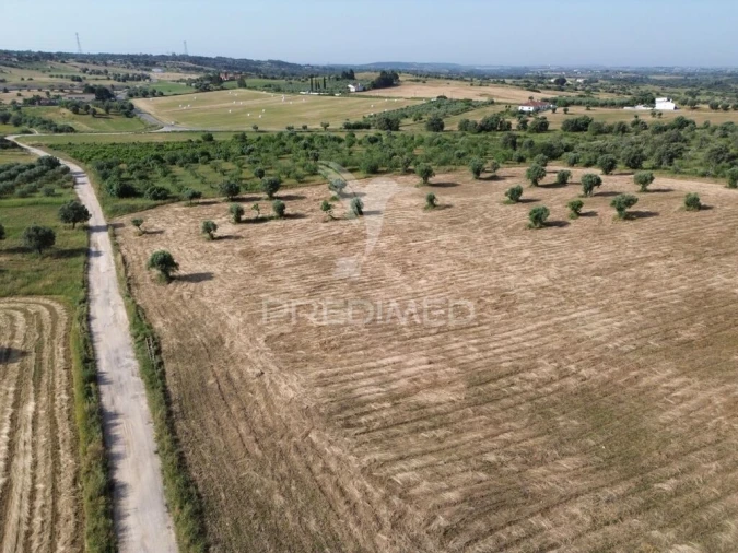 Terreno para Venda em Brogueira, Parceiros de Igreja e Alcorochel Foto 2