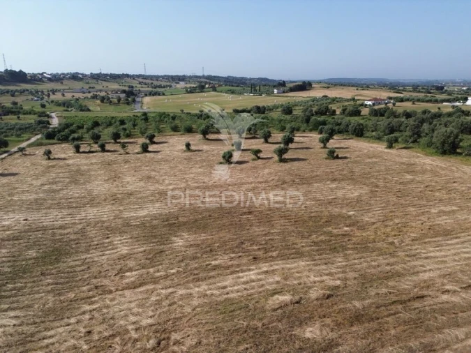 Terreno para Venda em Brogueira, Parceiros de Igreja e Alcorochel Foto 9