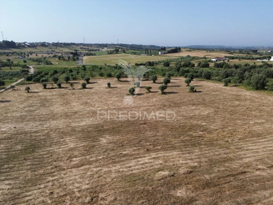 Terreno para Venda em Brogueira, Parceiros de Igreja e Alcorochel Foto 9