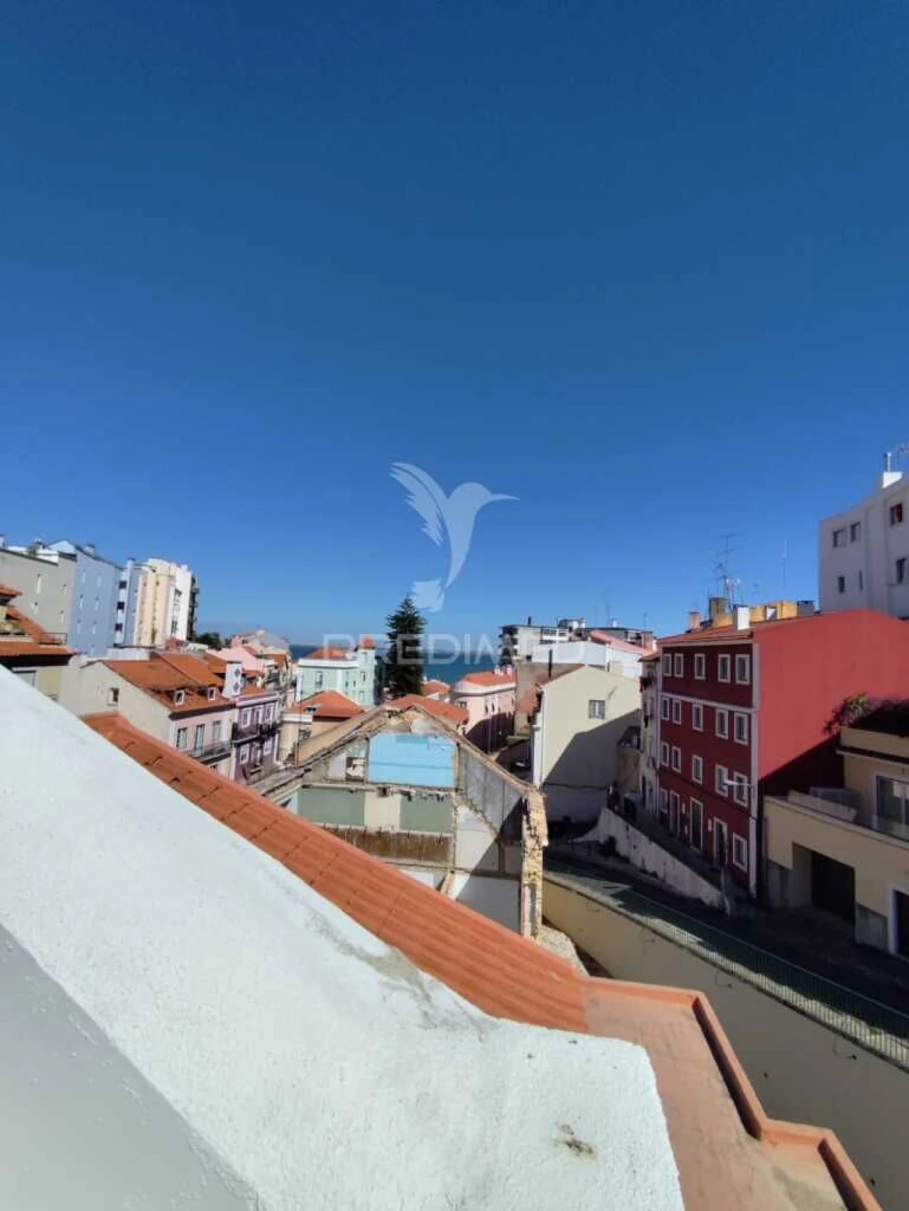Apartamento T2 para Venda em São Vicente Foto 19